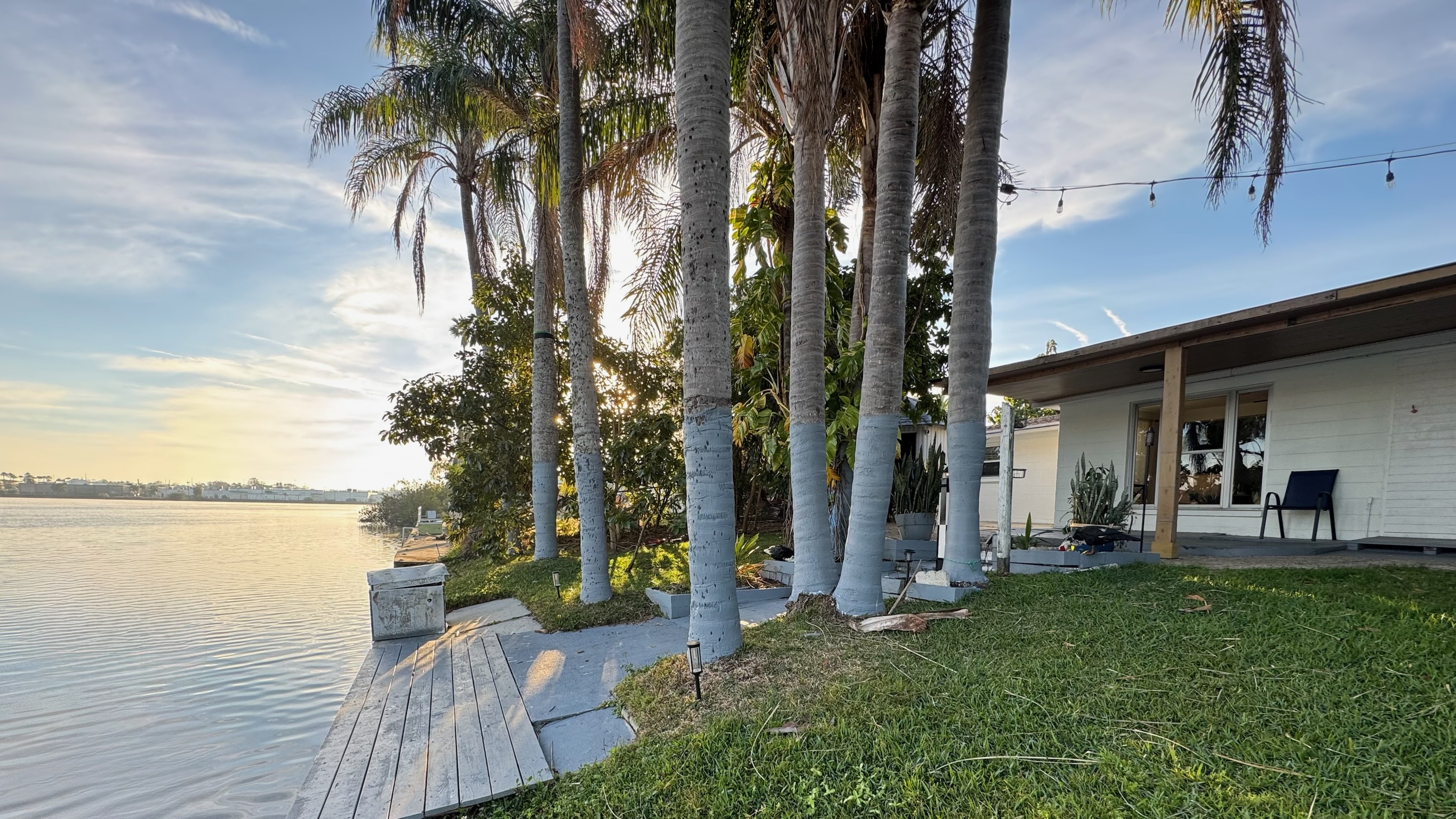 Lakefront backyard with palms and string lights at golden hour